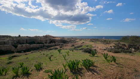 A-wide-shot-of-the-Tombs-of-the-Kings-in-Pafos,-displaying-ancient-stone-structures-surrounded-by-greenery-and-a-clear-blue-sky