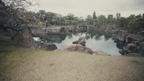 Vista-Tranquila-De-La-Naturaleza-Del-Jardín-Cerca-Del-Castillo-Nijo-En-El-Palacio-Ninomaru-En-Kyoto,-Japón