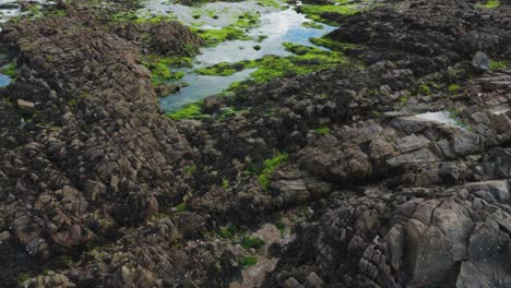 Vuelo-Lento-Y-Bajo-De-Drones-Sobre-Piscinas-Y-Formaciones-Rocosas-Durante-La-Marea-Baja-Con-Algas-Marinas,-Piscinas-Tranquilas-Y-Lugares-Escondidos-En-Un-Día-Brillante