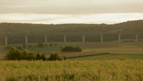 A-train-speeds-across-a-towering-bridge-over-lush-green-fields-at-sunset,-capturing-a-tranquil-rural-landscape