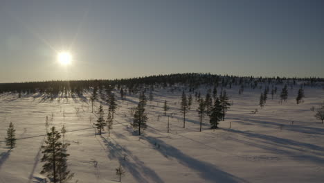 Drohnenflug-über-Schneebedeckte-Felder-In-Lappland-Bei-Tiefstehender-Sonne