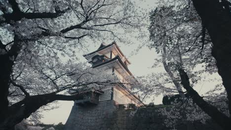 Kanazawa-Castle-Watchtower-Through-Cherry-Blossoms-In-Spring-In-Kanazawa,-Japan