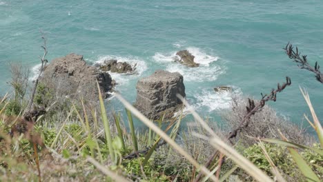 Detail-view-of-rock-formations-in-the-ocean-at-Nugget-Point-in-New-Zealand-on-a-sunny-day