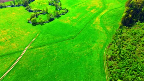 Luftaufnahme-Von-Grünen-Feldern-Mit-Gewundenen-Pfaden-Und-Waldgebieten