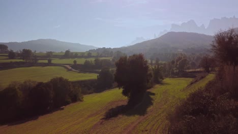 Sonniger-Tag-über-Den-Grünen-Feldern-Von-Marganell-Mit-Montserrat-Bergen-Im-Hintergrund