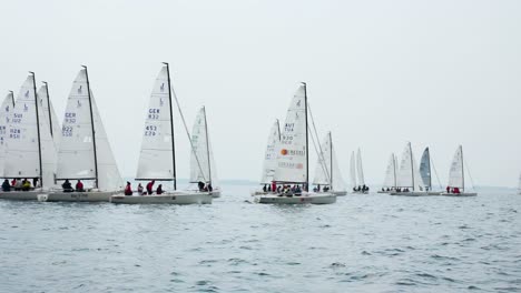 A-diagonal-line-of-sloops-sail-upwind-at-an-annual-regatta-on-Lake-Constance-in-the-Alps