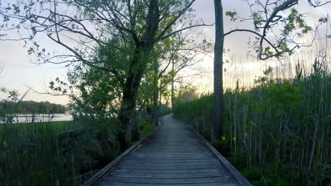 POV-Ride-on-wooden-trail-nature-park-marshland-palmyra-new-jersey-at-sunset