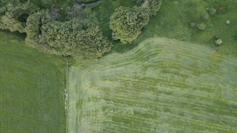 Aerial-dolly-shot-looks-directly-down-onto-green-Scottish-farmland