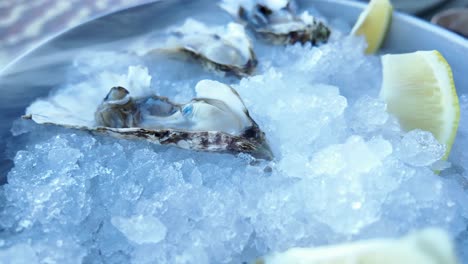 Fresh-oysters-on-a-bed-of-ice-with-lemon-slices,-ready-to-be-enjoyed