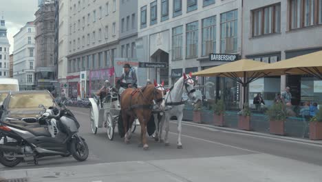 Horse-and-carriage-tour-around-Vienna