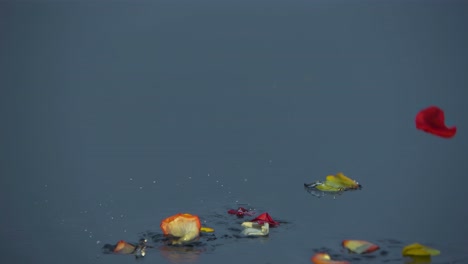 Flower-petals-falling-into-water-in-slow-motion