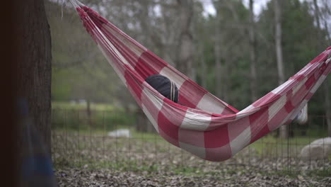 A-person-with-a-hood-resting-peacefully-in-a-hammock-amidst-a-forest