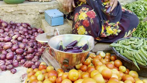 Women-is-selling-Eggplant,-aubergine,-brinjal,-or-baigan-in-vegetable-market,-Farmers-market,-sabzi-mandi