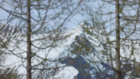 Slow-rack-focus-from-budding-springtime-trees-to-snow-covered-mountain-peak,-Italian-Alps