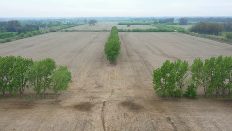 Aerial-view-of-agricultural-landscape-soil-in-preparation-for-sowing-black-soy-seeds-and-planting-wheat,-drone-moving-backwards-slowly