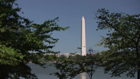 Static-shot-of-the-Washington-monument-obelisk-framed-by-trees-in-Washington-DC,-USA