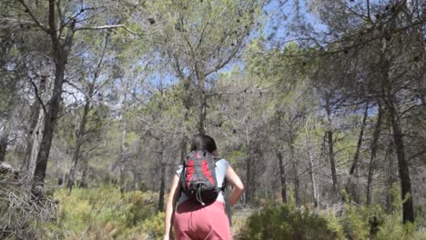 Young-woman-hiking-in-pine-forest
