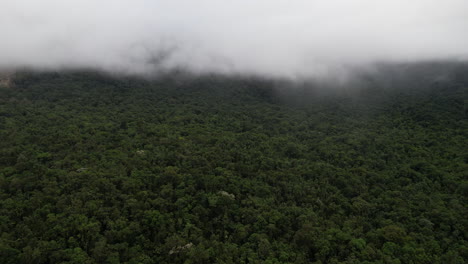 Aerial-View-of-Mist-Above-Jungle-Landscape,-Drone-Shot