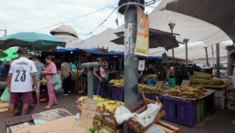 Brazil,-Belem,-The-Ver-o-Peso-Market-and-Surroundings:-A-banana-and-acai-stand,-vibrant-and-bustling,-highlighting-the-rich-variety-of-local-produce-and-the-lively-market-atmosphere
