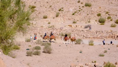 Gente,-Lugareños-Y-Turistas,-Caminando-Y-Montando-Camellos-En-Las-Calles-De-La-Antigua-Ciudad-De-Petra-En-Jordania.