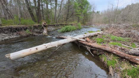 Trout-fishing-stream-in-the-beautiful-Catskill-mountains-during-spring