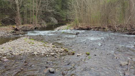 Trout-fishing-stream-in-the-beautiful-Catskill-mountains-during-spring
