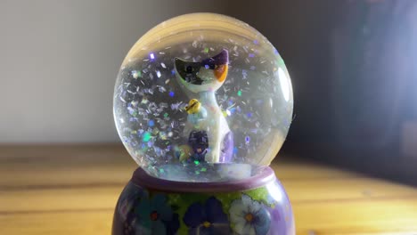 Cat-Snow-globe-being-placed-on-wooden-table-close-up