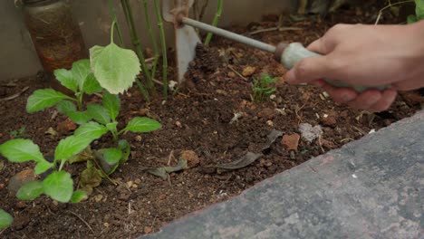 Hand-holding-a-fork-tool-to-dig-soil-in-a-small-garden