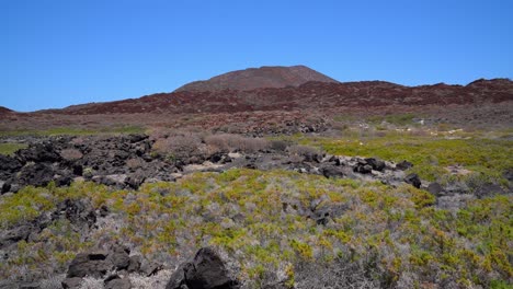 Ecosistema-Costero-Semidesértico-Con-Volcán-Al-Fondo-En-Isla-Coronado,-Loreto,-Baja-California-Sur