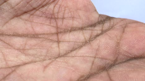 Human-hand-skin-extreme-close-up