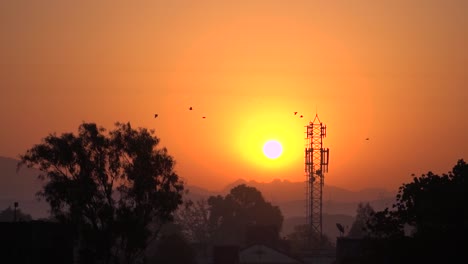 Beautiful-Inspiring-golden-morning-,Silhouette-of-tree,mountains,-cell-tower-and-birds-flying-at-sunrise,-Mumbai,-India