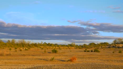 Slow-zoom-of-a-Desert-landscape,-tree-line-and-blue-sky