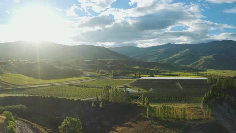 Aerial-tracking-back-over-vineyards-in-Central-Otago-over-a-river-with-a-lens-flare-from-the-sun
