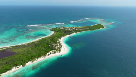 Playa-Prístina-Con-Vegetación-En-El-Mar-Caribe