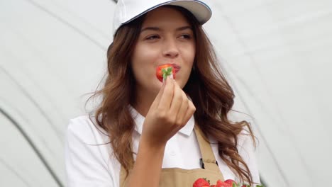 Smiling-female-farmer-eating-strawberry-at-hothouse.