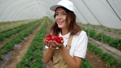 Woman-admiring-handful-fresh-strawberries.